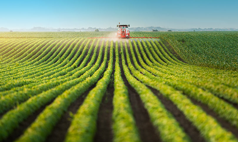 Los desafíos que enfrenta el agro en relación a la pandemia.